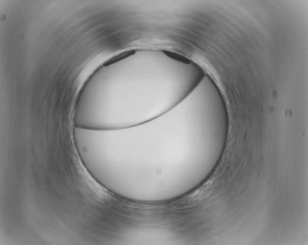 X0000088461344200706121455