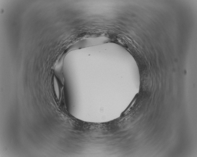 X0000088461345200706121454