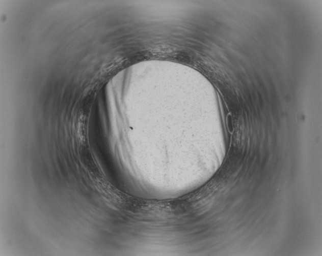 X0000088461346200706121454