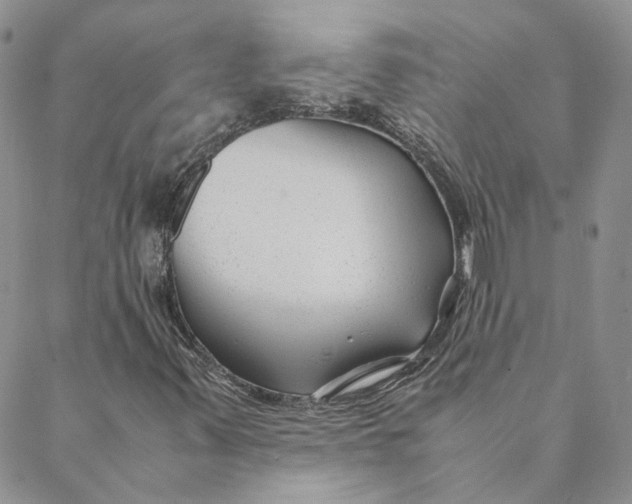 X0000088461347200706121454