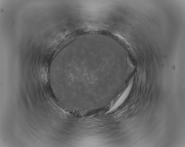 X0000088461348200706121454