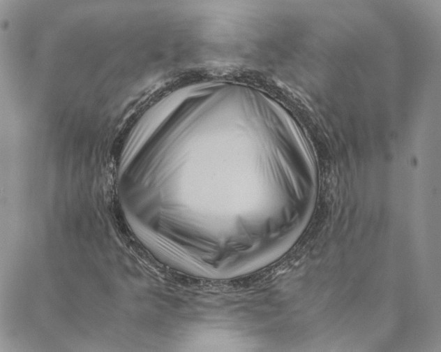 X0000088461349200706121454