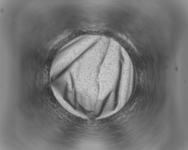 X0000088461350200706121454