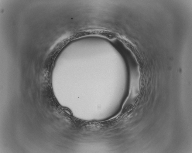 X0000088461351200706121454