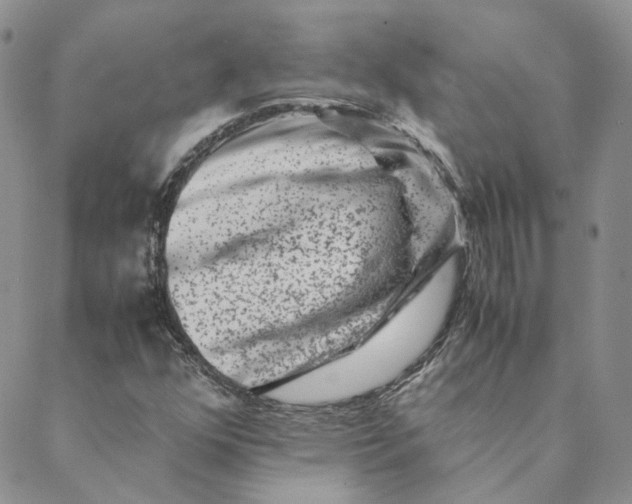 X0000088461352200706121454