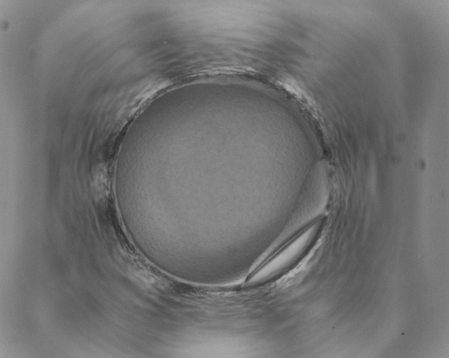 X0000088461353200706121454