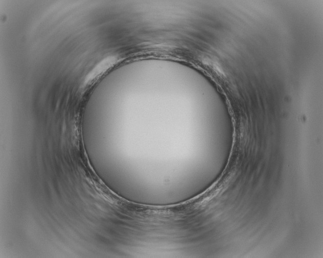 X0000088461354200706121454