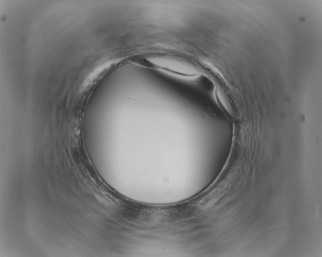 X0000088461355200706121454