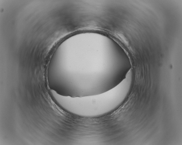 X0000088461356200706121454