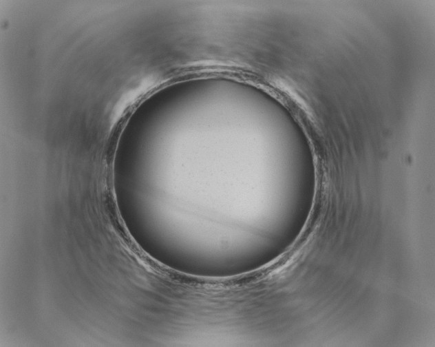 X0000088461357200706121454