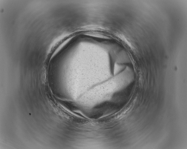 X0000088461358200706121454