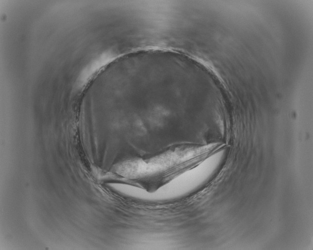 X0000088461359200706121454