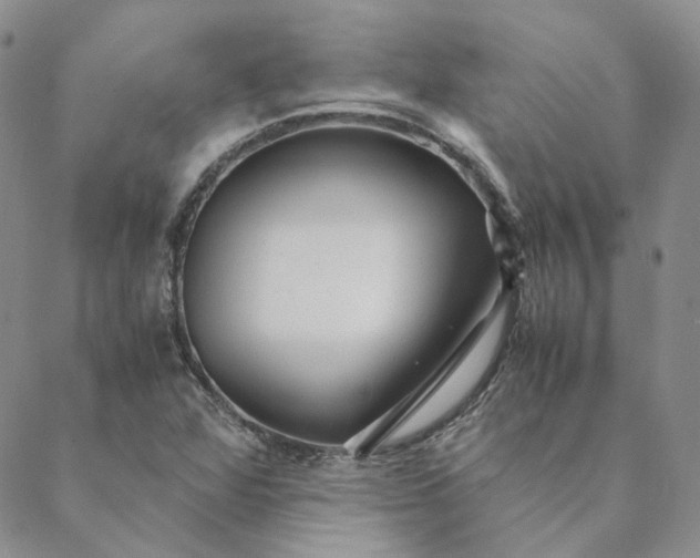 X0000088461360200706121454