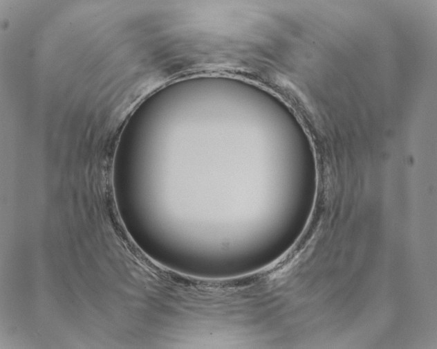 X0000088461361200706121454