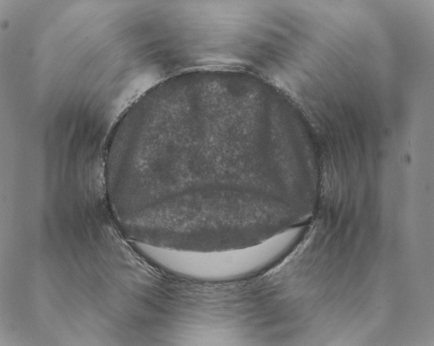 X0000088461362200706121454