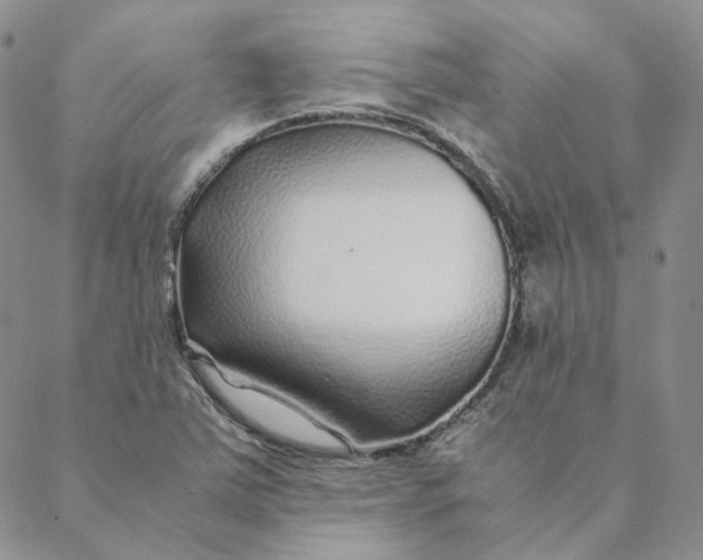 X0000088461363200706121454