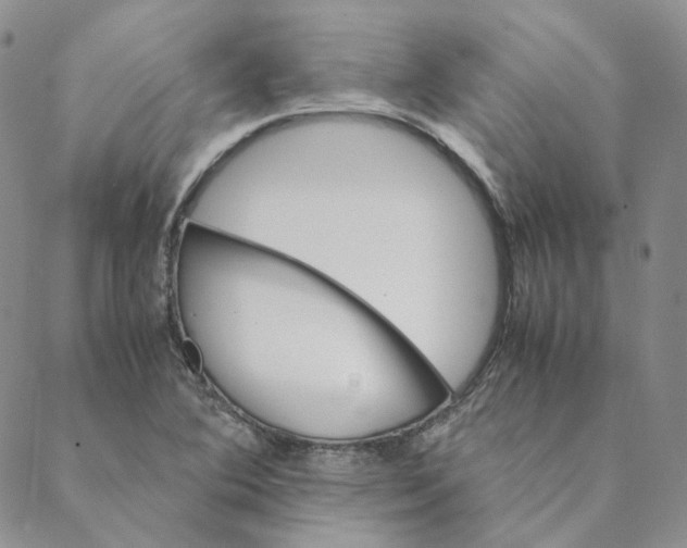 X0000088461364200706121454