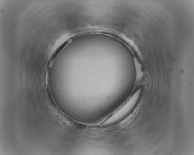 X0000088461365200706121454