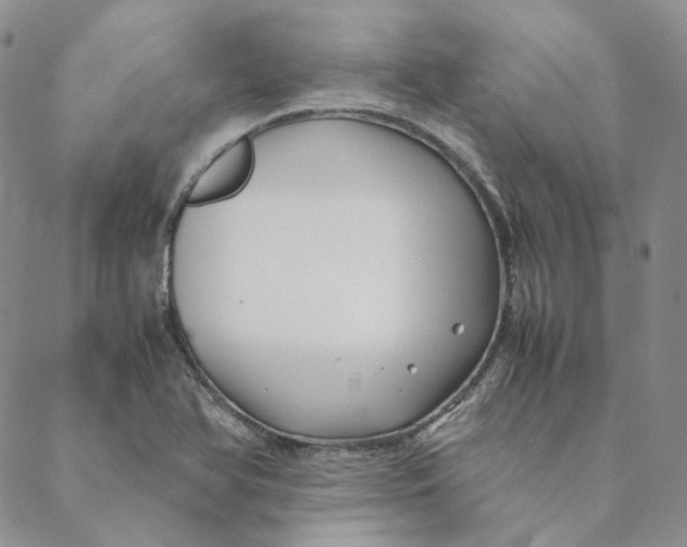 X0000088461366200706121454