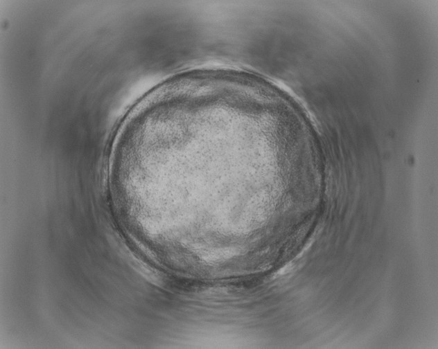 X0000088461367200706121454