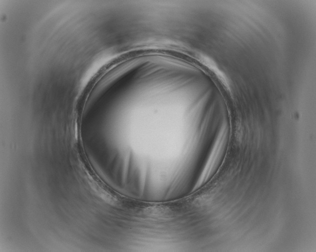 X0000088461368200706121454