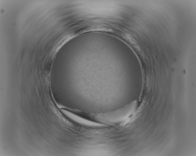 X0000088461369200706121454