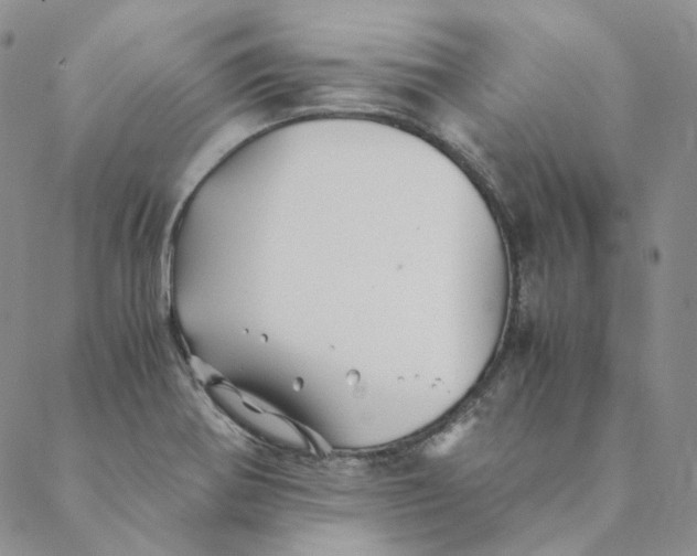 X0000088461370200706121454