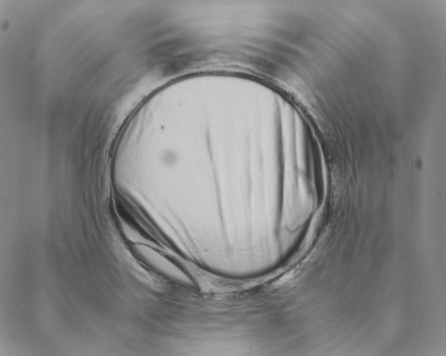 X0000088461371200706121454