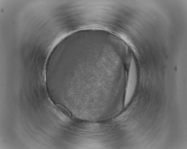 X0000088461372200706121453