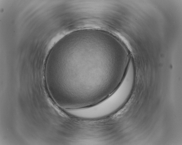 X0000088461373200706121453