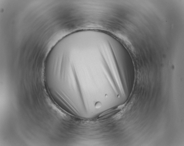 X0000088461374200706121453