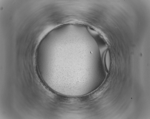 X0000088461375200706121453