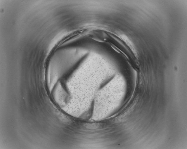 X0000088461376200706121453