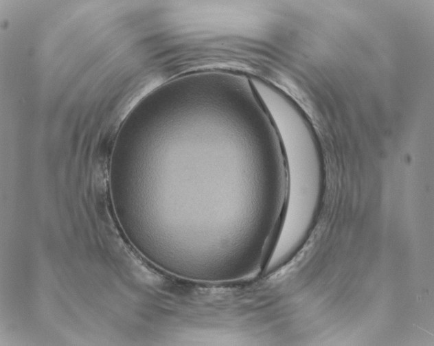 X0000088461377200706121453