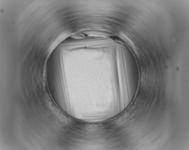 X0000088461378200706121453