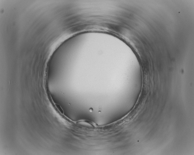 X0000088461379200706121453