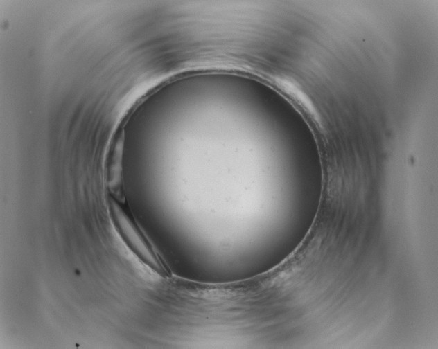 X0000088461380200706121453