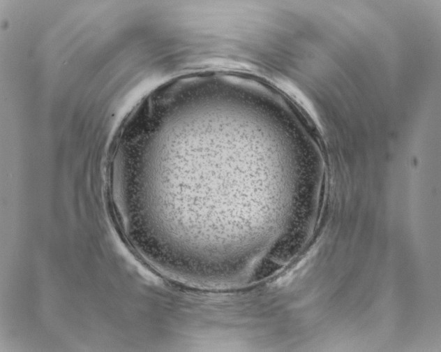 X0000088461381200706121453