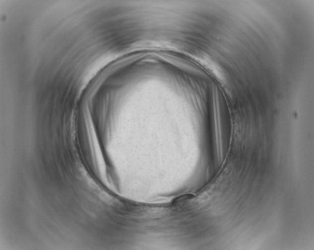 X0000088461382200706121453