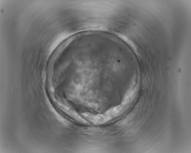 X0000088461383200706121453