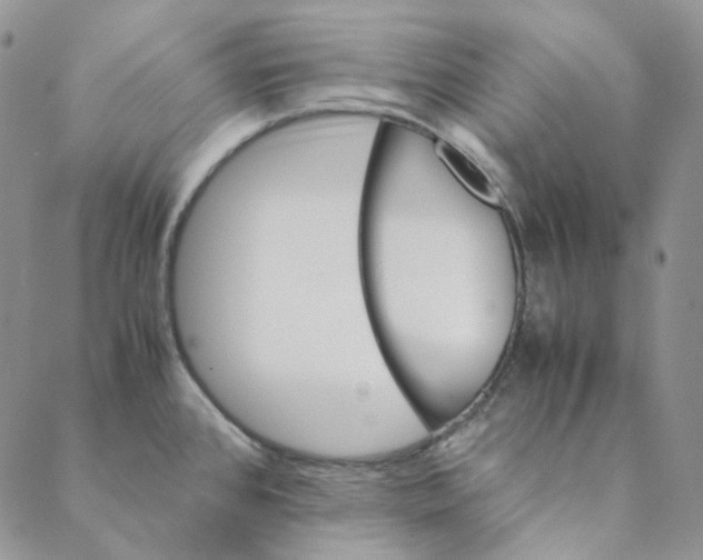 X0000088461384200706121453