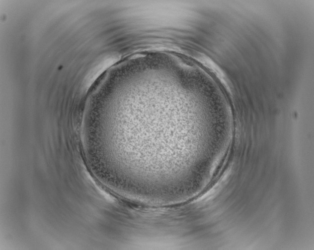 X0000088461385200706121453