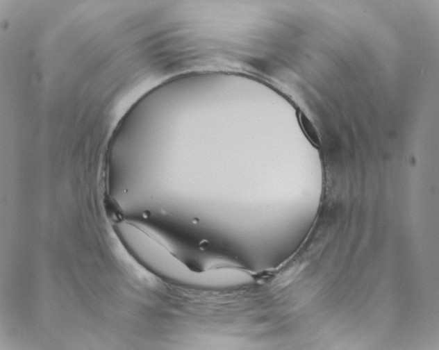 X0000088461387200706121453