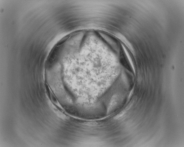 X0000088461388200706121453