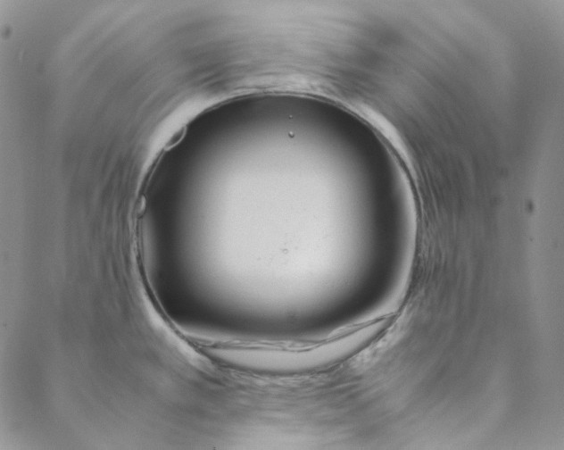 X0000088461389200706121453