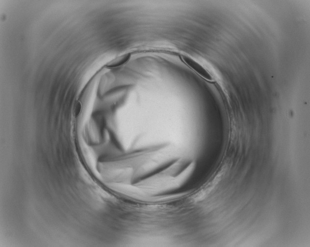 X0000088461390200706121453