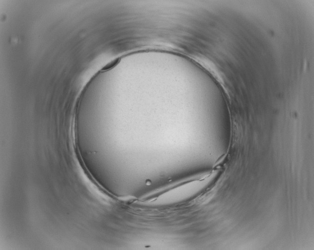 X0000088461391200706121453