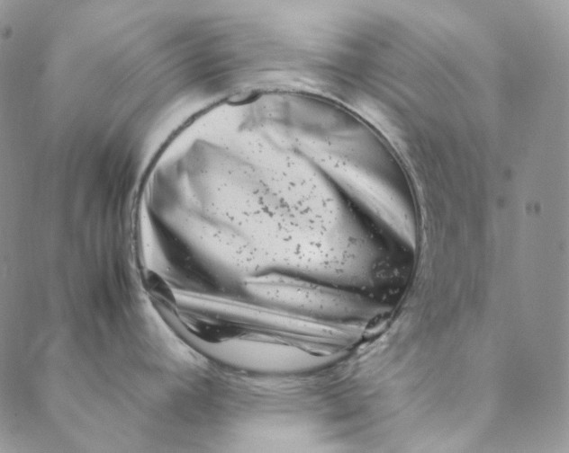 X0000088461392200706121453