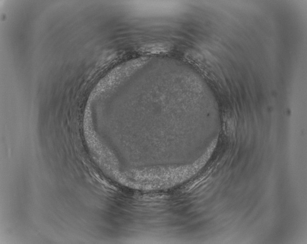 X0000088461393200706121452