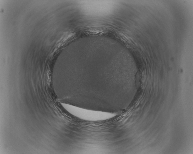 X0000088461394200706121452